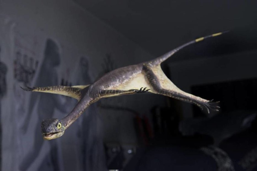 Największy latający gad ery dinozaurów żył w Polsce. Niezwykłe odkrycie [ZDJĘCIA]