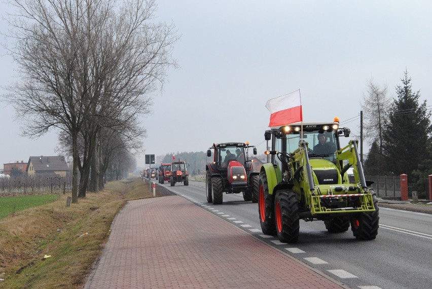 Powiat kaliski: Rolnicy wsiedli na traktory i protestowali. ZDJĘCIA