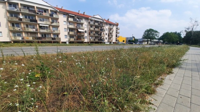 Osiedle Europejskie, jeśli stanie się osobnym rejonem w budżecie obywatelskim, będzie miało do dyspozycji około 400 tys. zł.