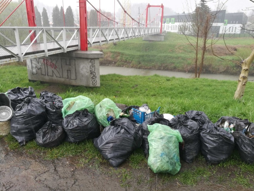 Akcja Czysty Wisłok. Mieszkańcy sprzątali brzegi rzeki. Uzbierano 180 worków śmieci [ZDJĘCIA]