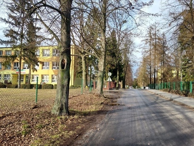 Planowana jest budowa ciągu rowerowego łączącego istniejący ciąg rowerowy na ulicy Lubelskiej z Zespołem Szkół Centrum Kształcenia Rolniczego w Sandomierzu, a  aleja drzew zostanie zachowana.