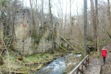 Ruiny przypominają dawne, zapomniane zamczysko. W Hamerni na Roztoczu działała jednak zasłużona papiernia. Dzisiaj to atrakcja turystyczna