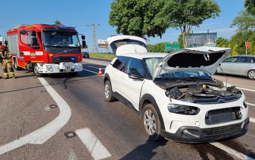 Wypadek na DK 77 w Żurawicy. Kierująca citroenem uderzyła w volkswagena polo. Jedna osoba ranna [ZDJĘCIA]