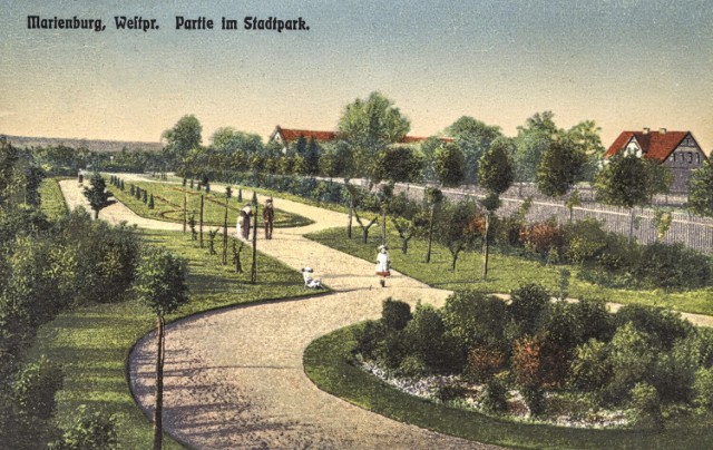 Koloryzowana widokówka ze zbiorów Andrzeja Gilewskiego. Przedstawia część parku przy obecnej ulicy Ciepłej.
