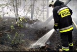 Dwa pożary lasu jednego dnia. Płonął las w Podgajach i koło Jastrowia [ZDJĘCIA] 