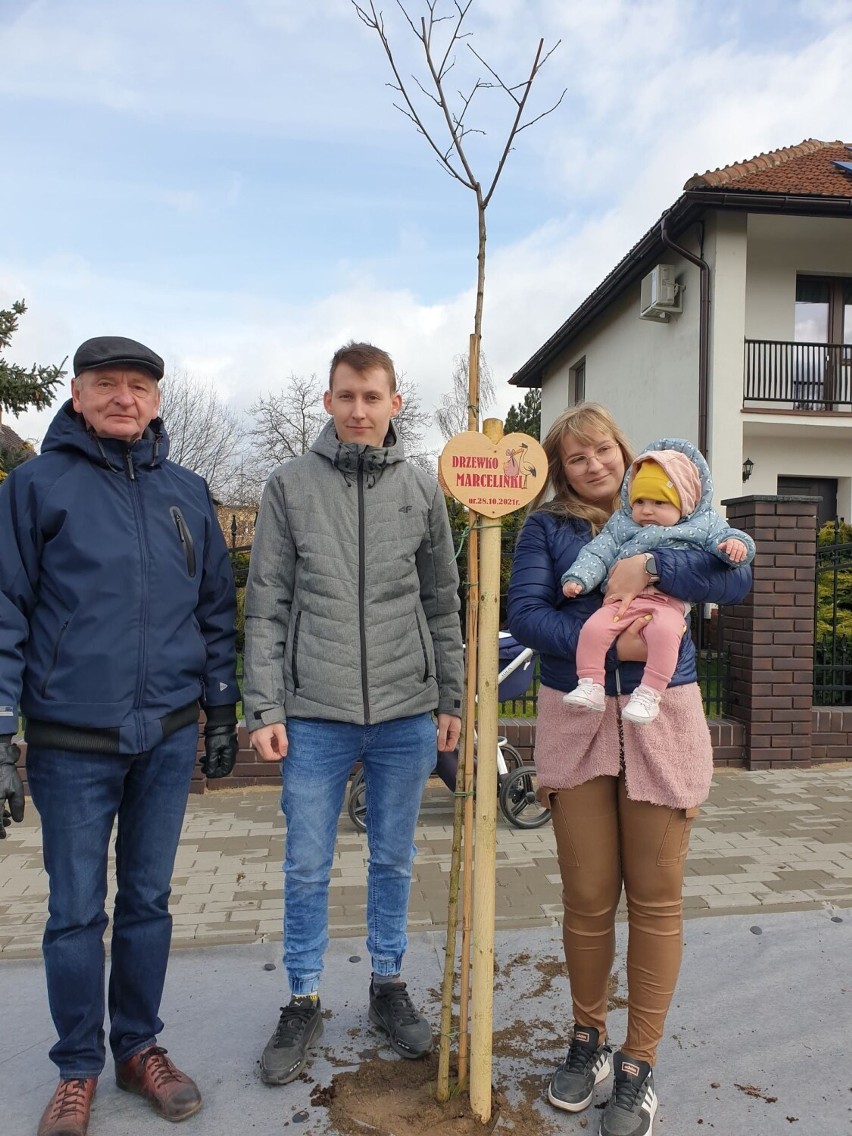 Śmigiel. Zakończyła się wiosenna edycja akcji "Drzewko Życia"