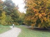 Park miejski w Wejherowie jesienią [ZDJĘCIA]