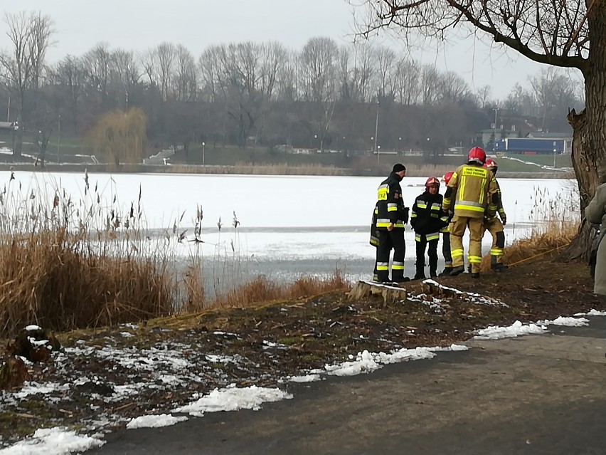 Strażacy poszukiwali psa pod wodą jeziora Jelonek