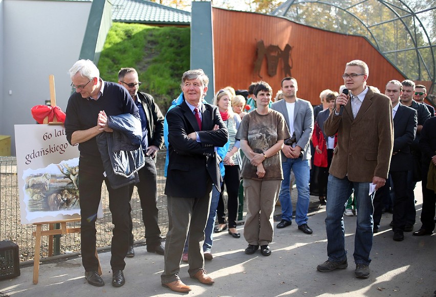 Międzynarodowe otwarcie lwiarni w Zoo w Gdańsku Oliwie
