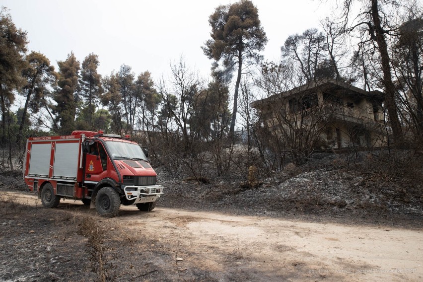 Międzychodzcy strażacy już walczą z pożarami na wyspie Evia [ZDJĘCIA]
