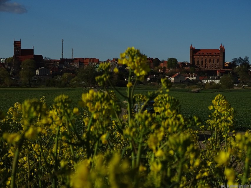 Cykam GNIEW: Zobacz, jak mieszkańcy postrzegają gminę ZDJĘCIA