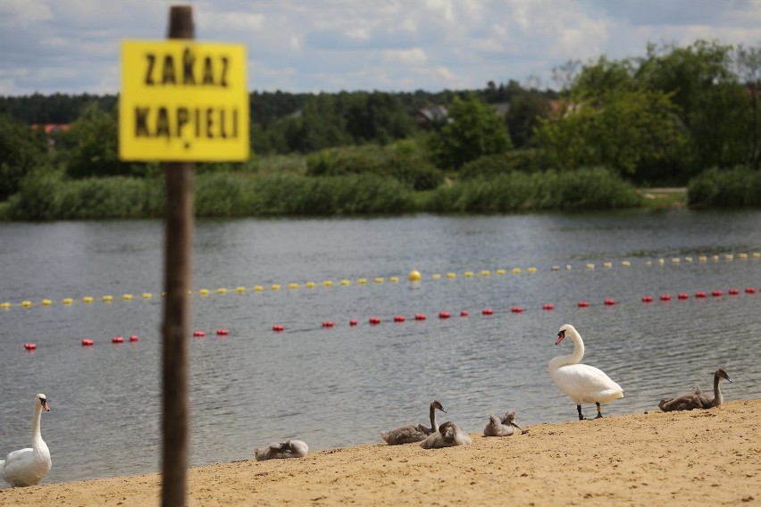 Zakaz kąpieli na Słoneczku w Piotrkowie