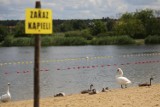 Zakaz kąpieli na Słoneczku w Piotrkowie, ale woda już czysta
