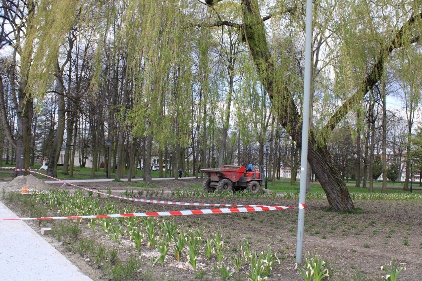 Zobacz zdjęcia z remontowanego parku w Końskich.