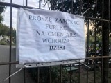 Dziki zaatakowały cmentarz komunalny w Rybniku! Zamykajcie furtki!