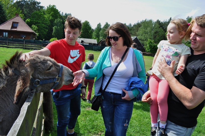 Zielony Dzień Dziecka w osadzie leśnej w Kole