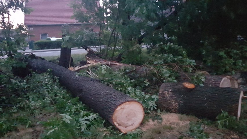 Najpoważniejsza sytuacja jest w Grodźcu w powiecie opolskim.