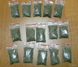 Radzyńska policja zatrzymała dwóch nastolatków z 28 gramami trawki