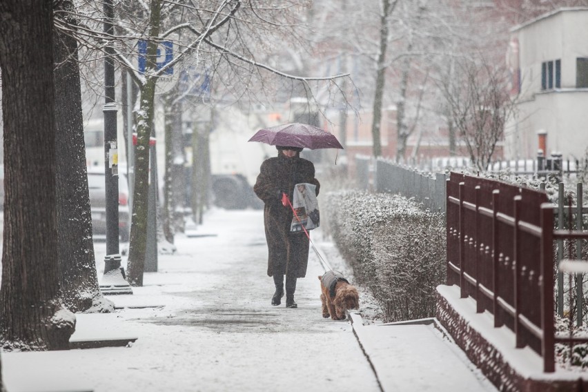 Analitycy z Meteo France zwracają uwagę na obszar wysokiego...