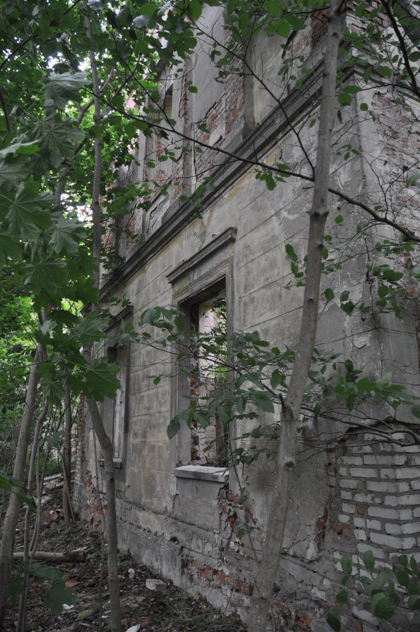 Zrujnowany pałac w Kuźnicy Czarnkowskiej
