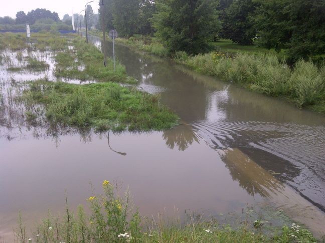 Potok Służewiecki wylał. Problemy dzielnicy Wilanów (FOTO)