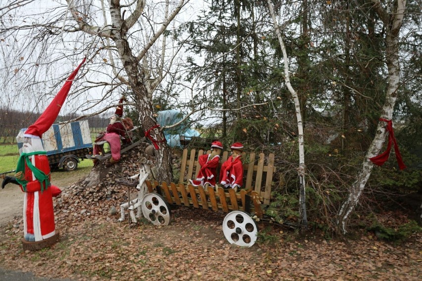 Największa żywa szopka w Polsce już działa! Mikołaj wita zwiedzających w Pawłowie pod Czerniejewem [FOTO, FILM]