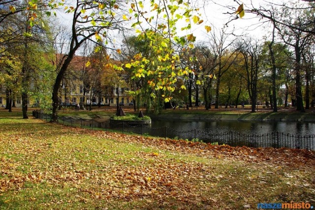 Park na Placu Kościuszki w Lesznie.