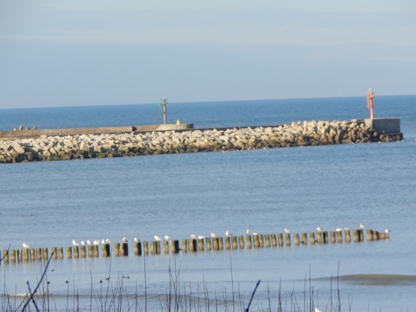 Dziś jest Światowy Dzień Ochrony Morza Bałtyckiego