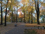 Jesienna aura Parku Zamkowego w Mysłowicach. Zobacz zdjęcia