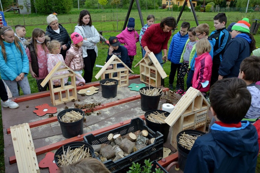 Ogród sensoryczny biofilia w Załużu już otwarty [ZDJĘCIA]