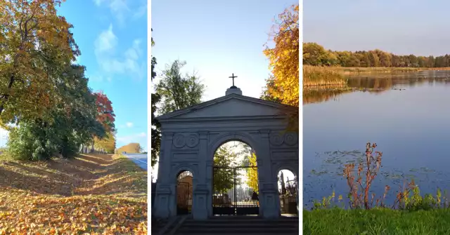 Zdjęcia pięknej jesieni w powiecie lipnowskim nadesłali nasi Czytelnicy.