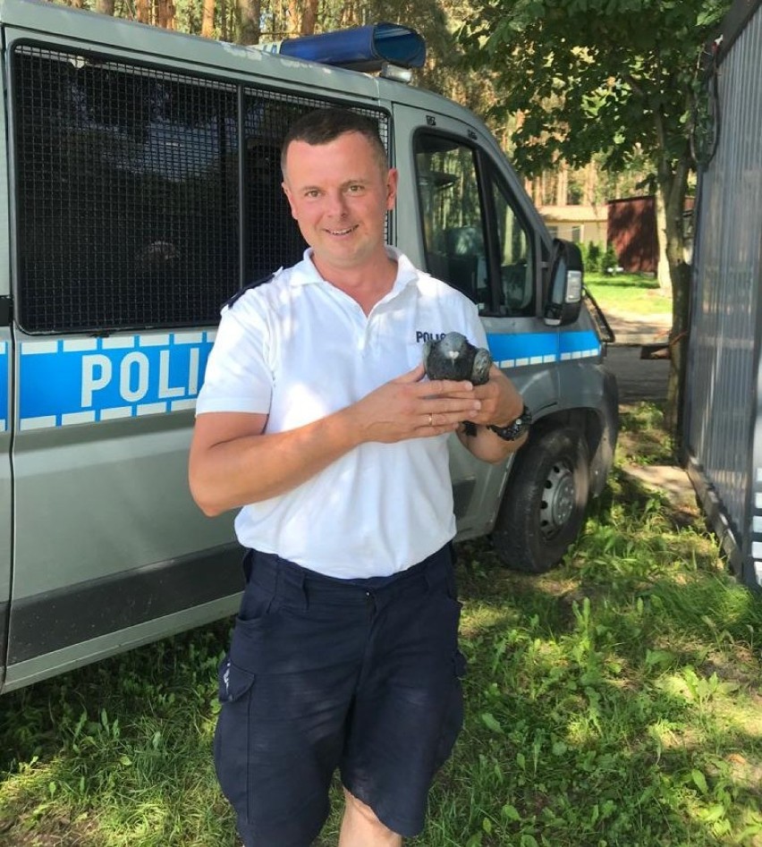W Barkowicach funkcjonariusze z policji wodnej uratowali...