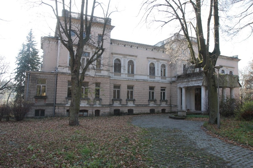 Pałac Ludwika Heinzla zbudowano w końcu XIX wieku