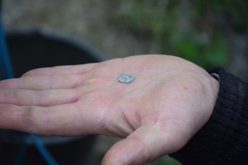 Nowy Sącz. Moneta znaleziona podczas prac wykopaliskowych na sądeckim zamku pochodzi z przełomu XIII i XIV wieku