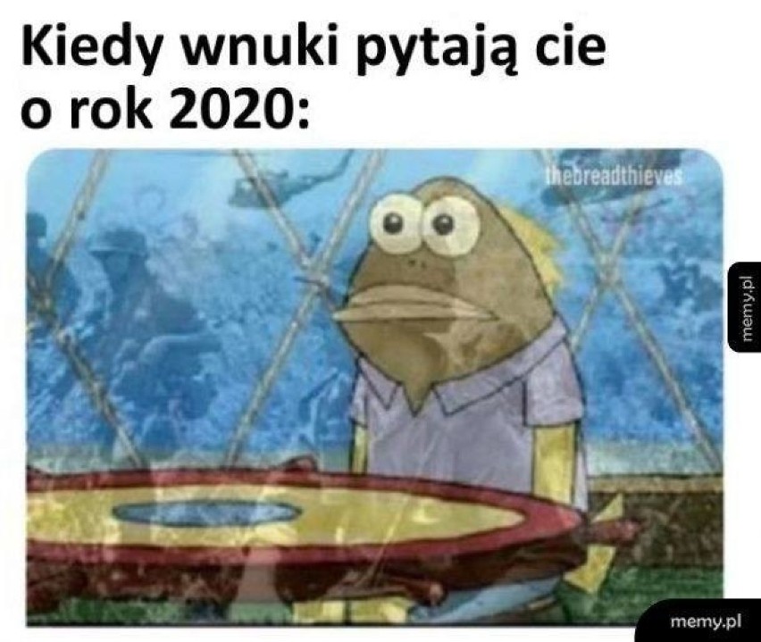 Rok 2020 dał wszystkim mocno popalić. Co na to internauci?...