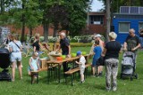 Rodzinny piknik ekologiczny w Sulęcinie. Dzieci się bawiły i uczyły