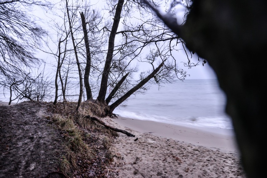 Projekt o tej nazwie zakłada powstanie plaży, której koszt...