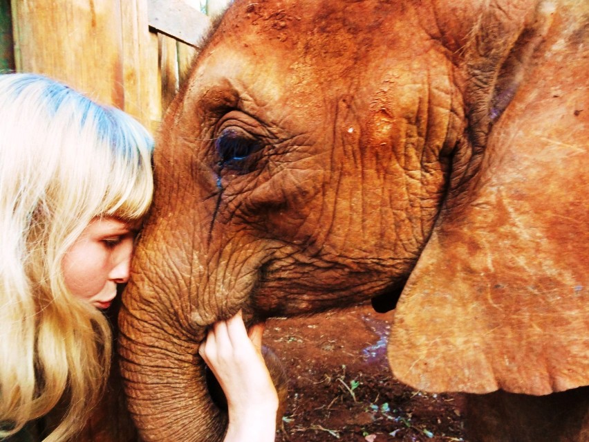 Ela i Natalia upodobały sobie słonie. Dziewczyny...