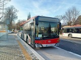Nowe rozkłady jazdy autobusów w Skarżysku-Kamiennej. Zmiany będą obowiązywać od 1 września