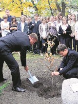 Uczniowie tomaszowskich szkół sadzili dęby pamięci