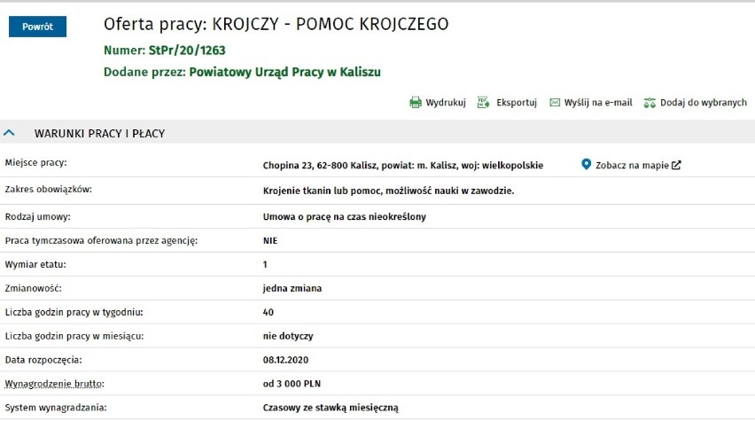 Oferty Pracy w Kaliszu. Kto może liczyć na zatrudnienie? 