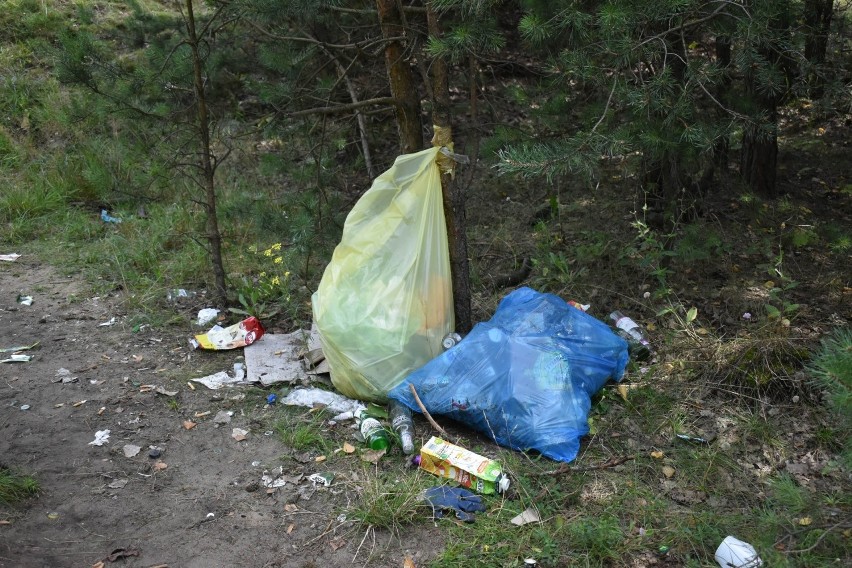 Sterty śmieci na terenach zielonych przy ulicy Żuradzkiej