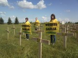 Akcja Greenpeace: Ustawiają 1000 krzyży pod Elektrownią Bełchatów