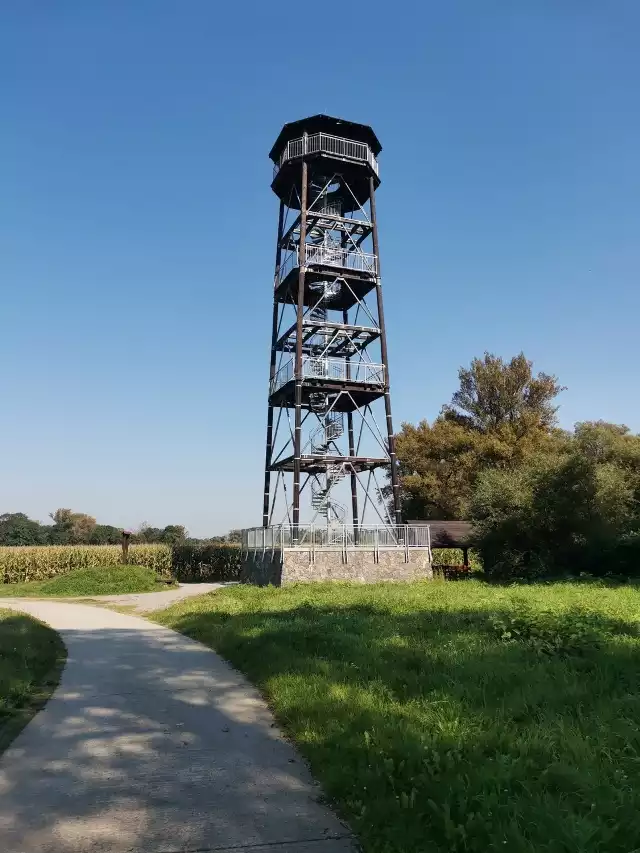 Meandry Odry świetne na rower gdy znudzą się popularne ścieżki w mieście! Zobacz zdjęcia z trasy przy granicy z Czechami