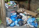 Wywóz odpadów w Szczecinie w okresie świątecznym inaczej