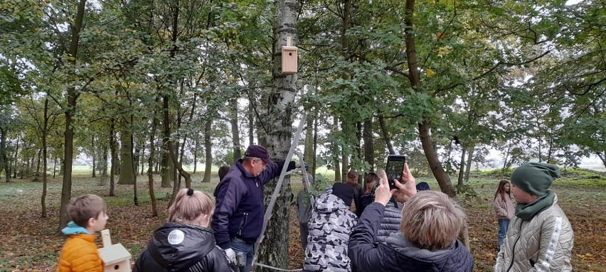 W Jedlcu dzieci zawiesiły na drzewach budki lęgowe dla ptaków