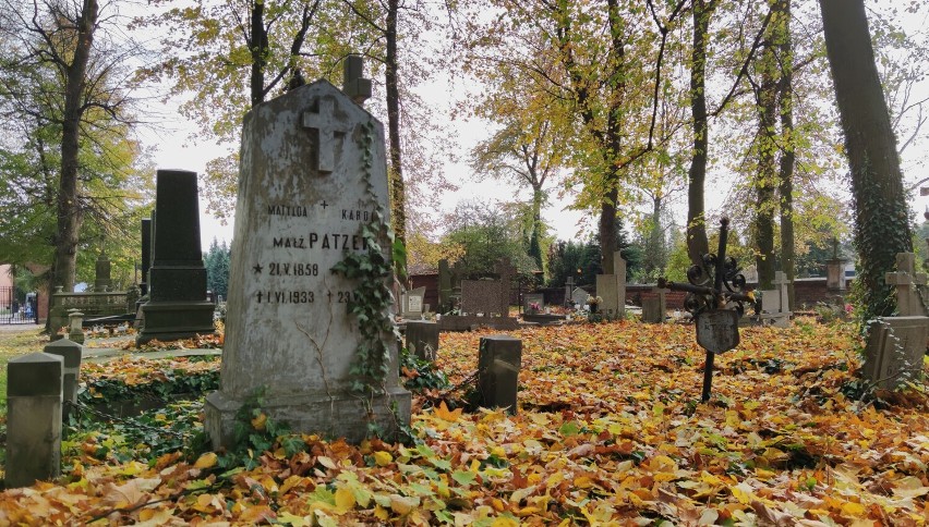 Piotrkowskie cmentarze w jesiennej szacie ZDJĘCIA
