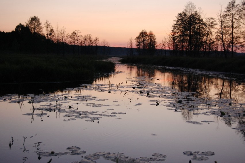 Widok na rzekę w białowieskim skansenie. Fot. Michał Mazik