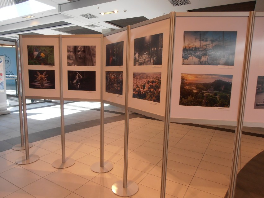Zielonogórskie Towarzystwo Fotograficzne  zaprasza na doroczną wystawę do galerii Focus Mall [ZDJĘCIA]