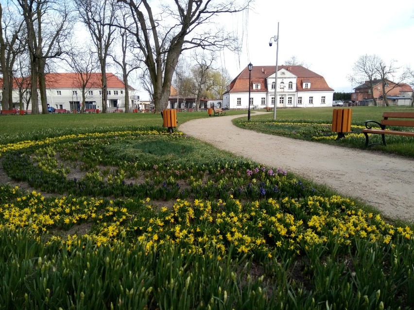 Park w Żelazkowie. Idealne miejsce na niedzielny spacer